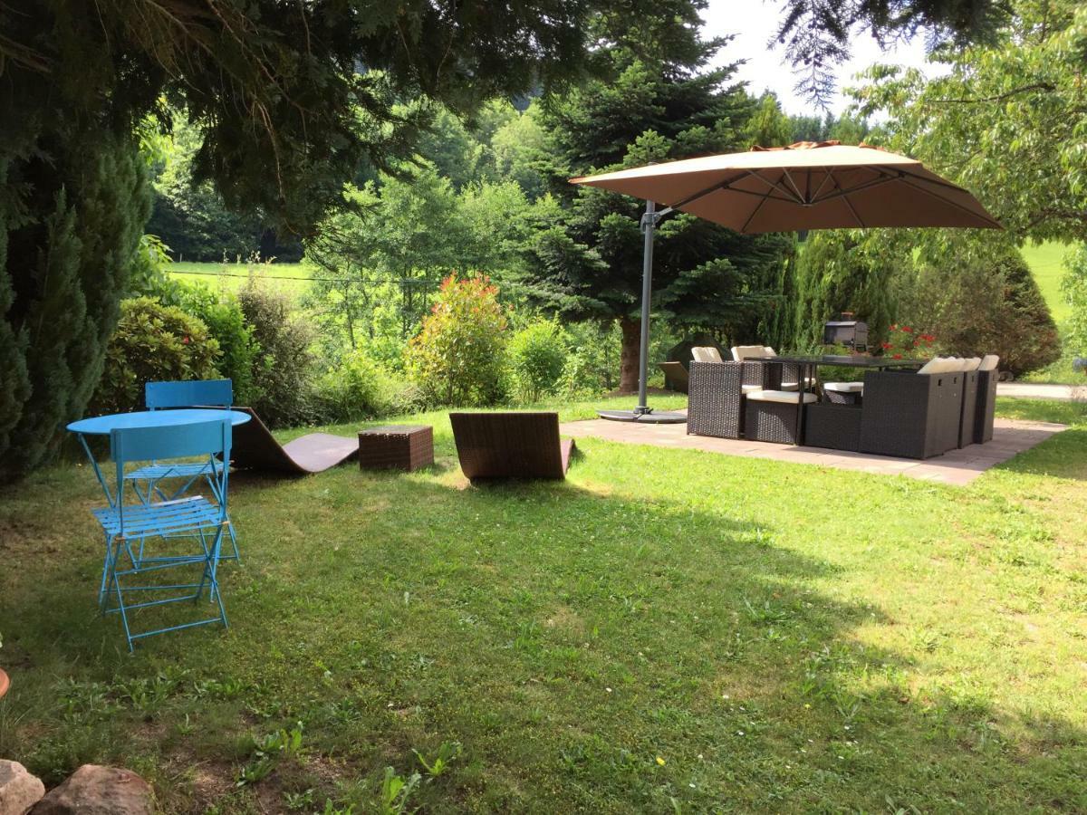 Gite Le Vieux Ruisseau Sauna Et Massages Lapoutroie Εξωτερικό φωτογραφία